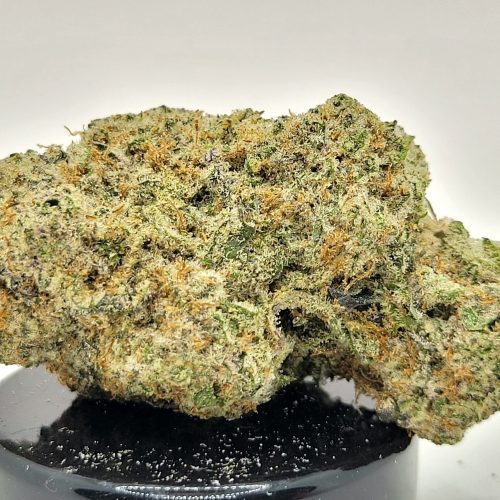 Mac 1 Strain (HP Gardens)
