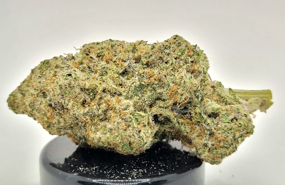 Mac 1 Strain (HP Gardens)