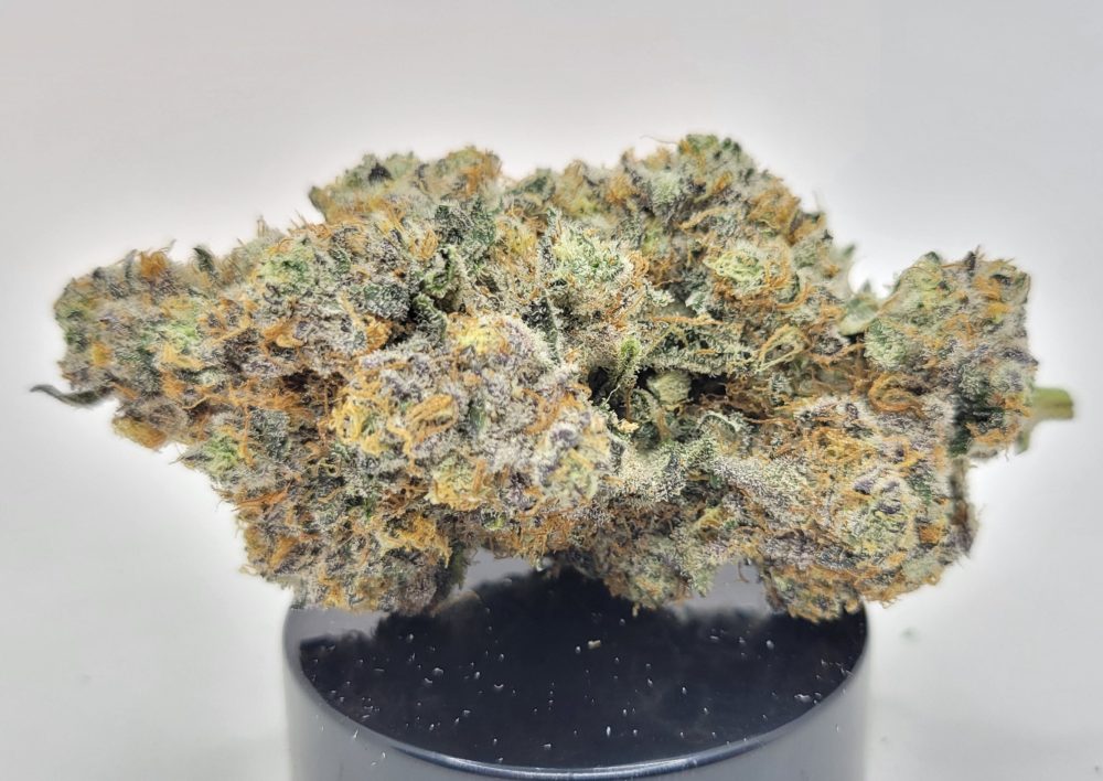 State Grape Strain (Treehouse AG)