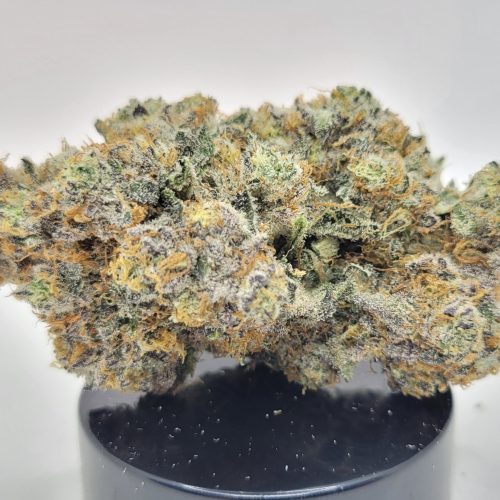 State Grape Strain (Treehouse AG)