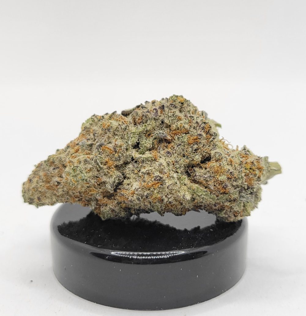 Sherb Cake Strain (HP Gardens)