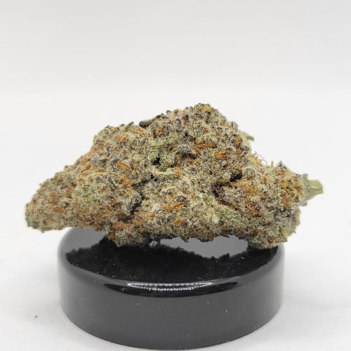 Sherb Cake Strain (HP Gardens)