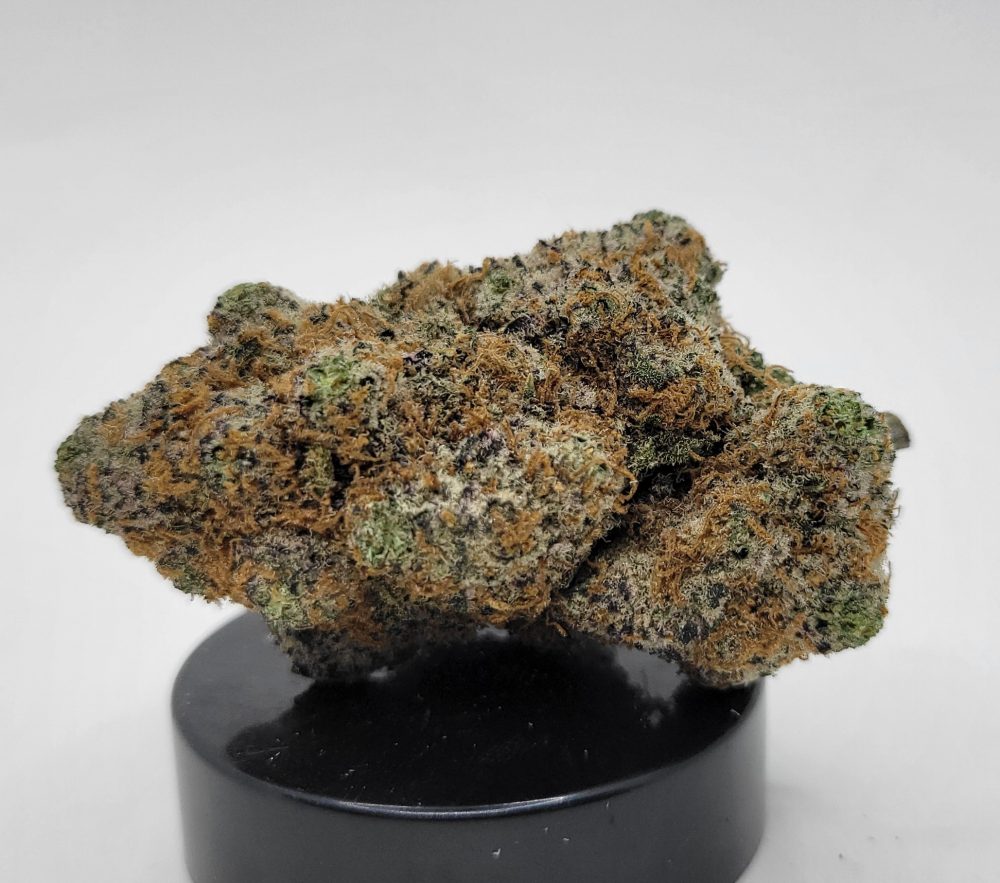 GMO Cookies Strain (HP Gardens)