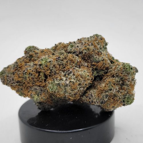 GMO Cookies Strain (HP Gardens)