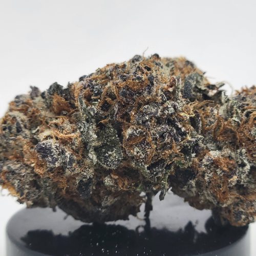 Cadillac Rainbows Strain (Treehouse AG)
