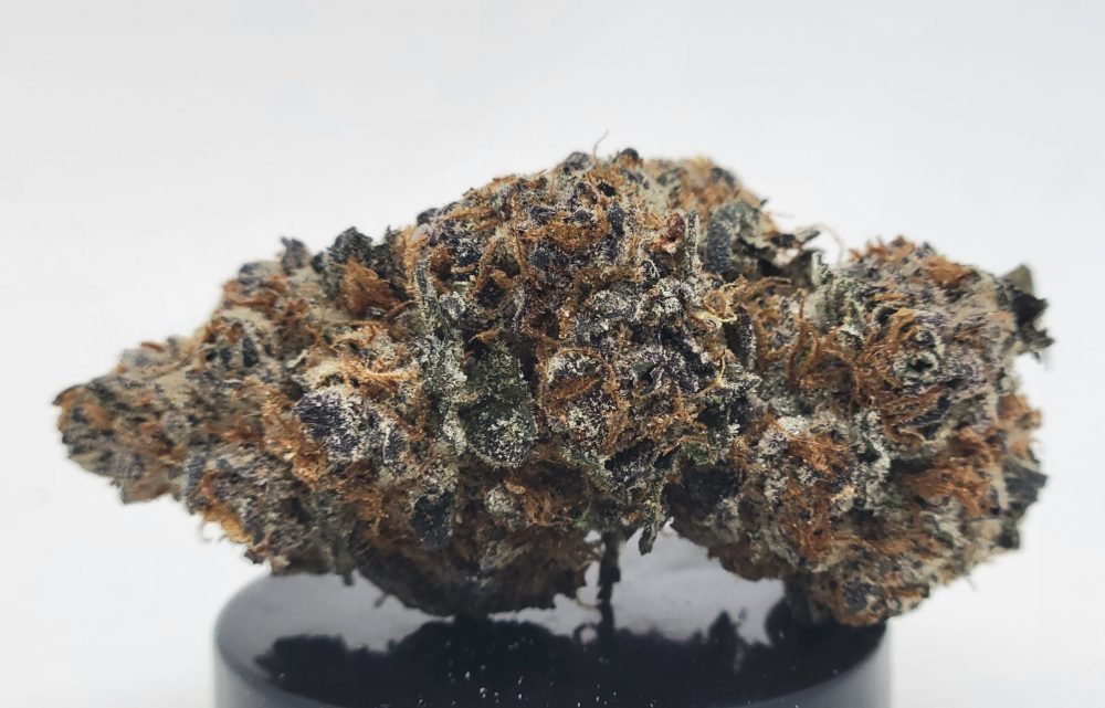 Cadillac Rainbows Strain (Treehouse AG)