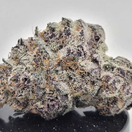 Super Buff Cherry Strain (Treehouse AG)