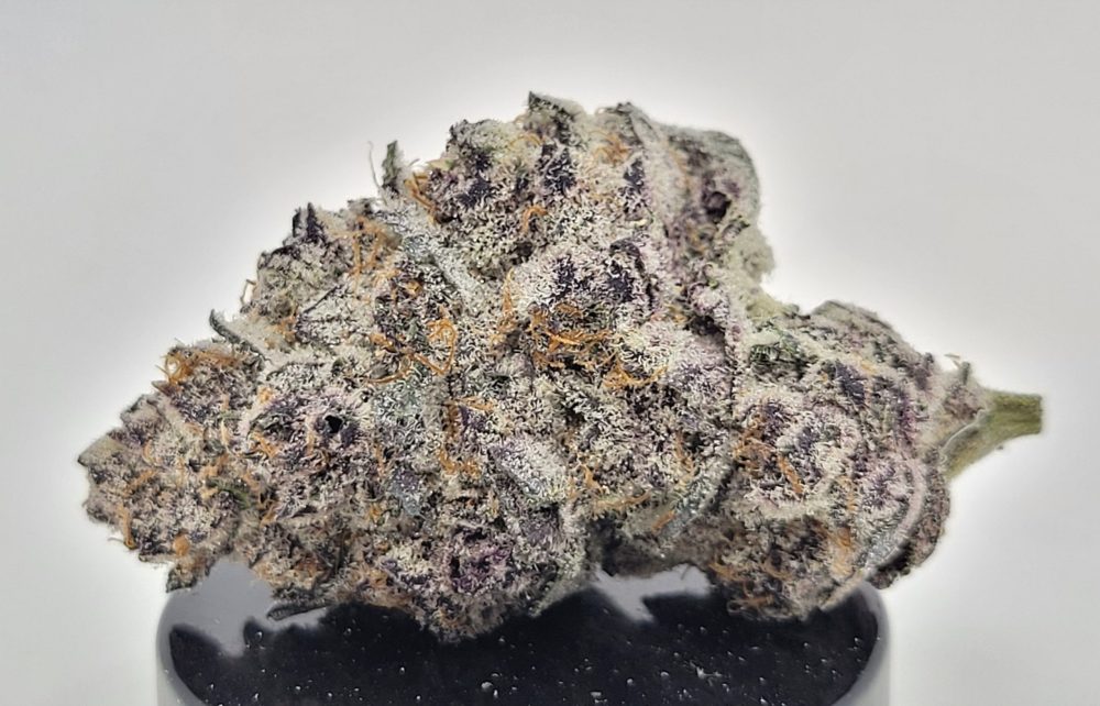 Super Buff Cherry Strain (Treehouse AG)