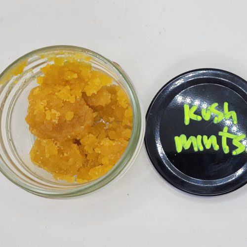 Kush Mints Live Resin (HP Gardens)