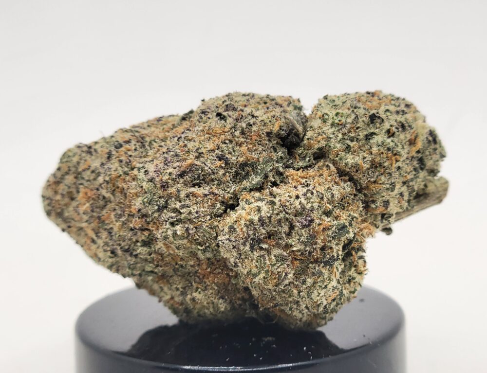 Donkey Butter Strain (HP Gardens)