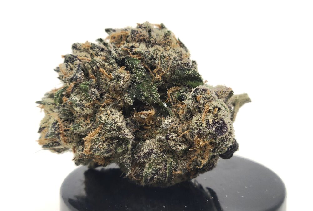 Snow Day Strain (Treehouse AG)