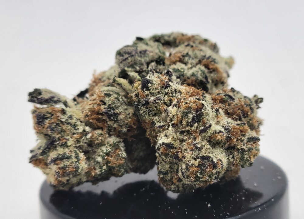 Peanut Butter Gelato Strain (HP Gardens)