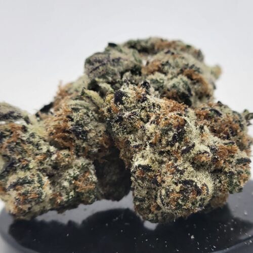 Peanut Butter Gelato Strain (HP Gardens)