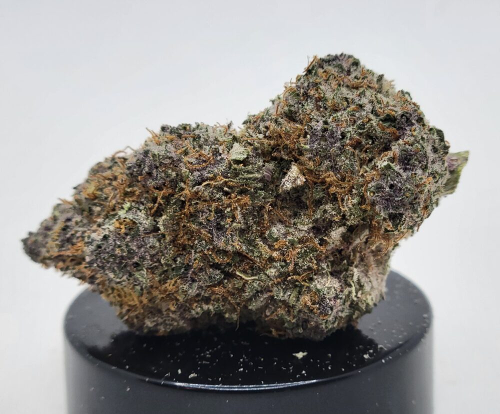 Tropical Runtz Strain (Elevated State Co.)