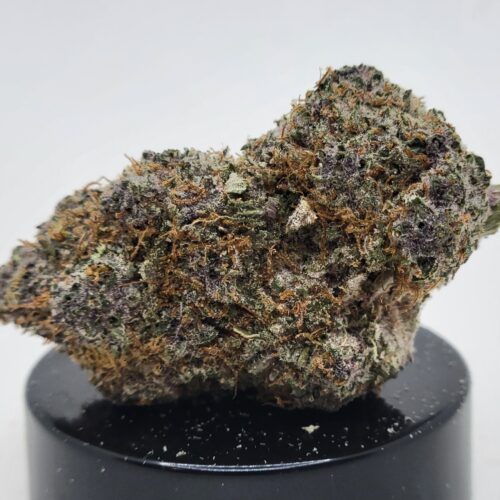 Tropical Runtz Strain (Elevated State Co.)