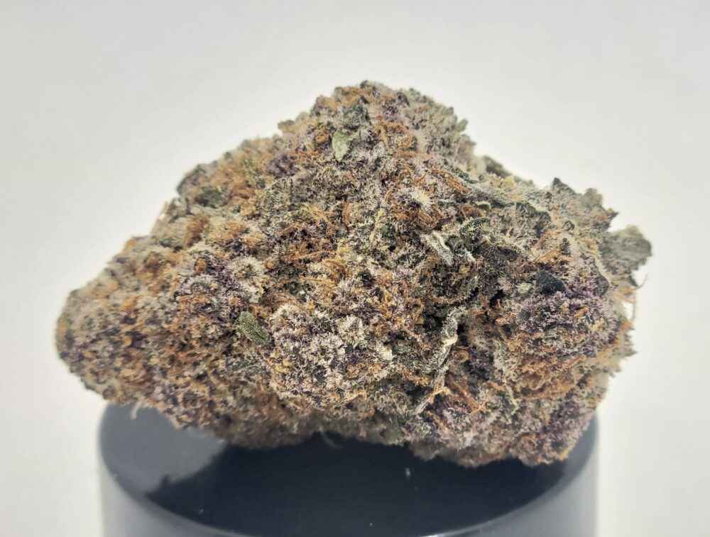 All Of The Above Strain (HP Gardens)