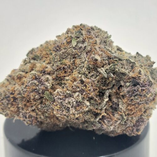 All Of The Above Strain (HP Gardens)
