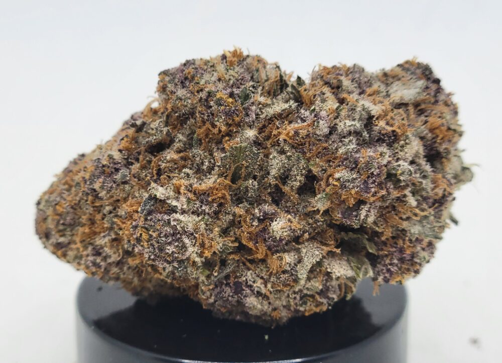 Gary Mac Strain (HP Gardens)