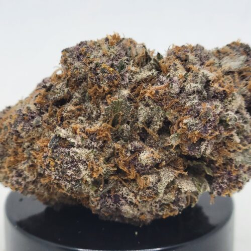 Gary Mac Strain (HP Gardens)