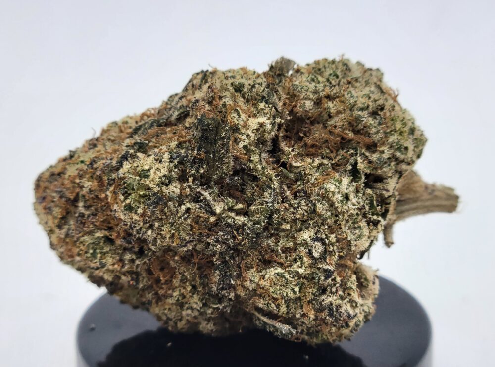 Triple OG Strain (HP Gardens)