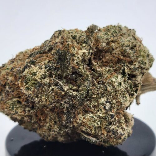 Triple OG Strain (HP Gardens)