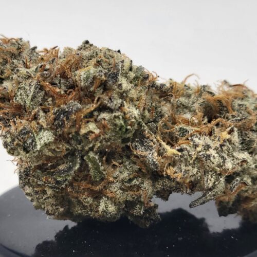 Unicorn Poop (HP Gardens)