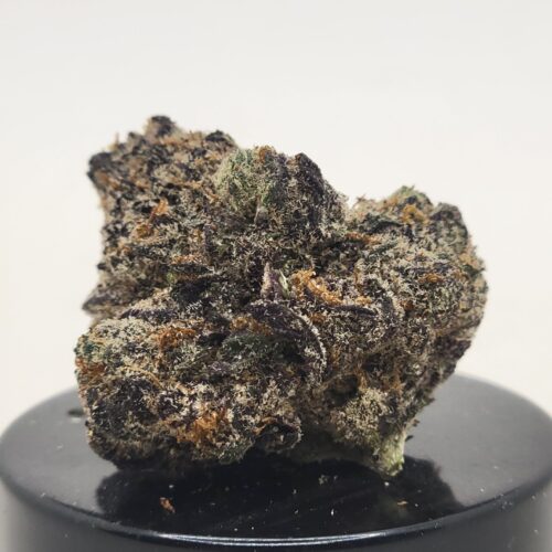 Double Stuffed Oreoz Strain (Elevates State Co.)