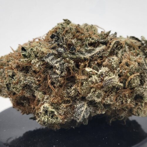 Grape Wedding Crasher Strain (HP Gardens)