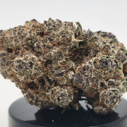 Permanent Marker Strain (HP Gardens)