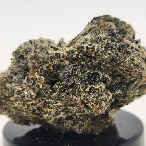 Toad Venom Strain (Elevated State Co.)