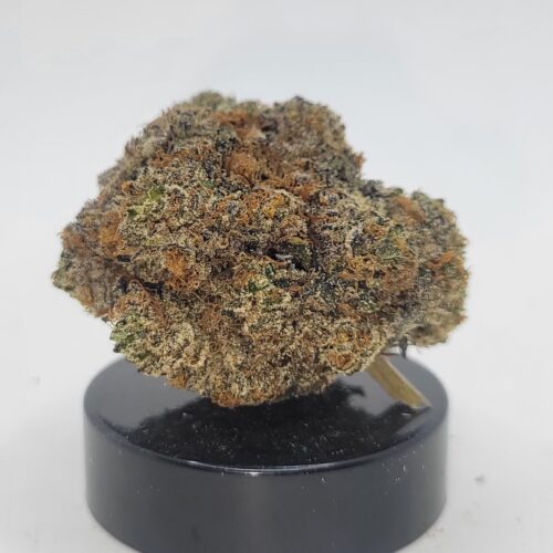 Blue Nerds Strain (HP Gardens)