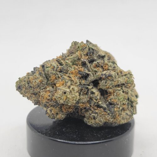Gas Face Strain (HP Gardens)