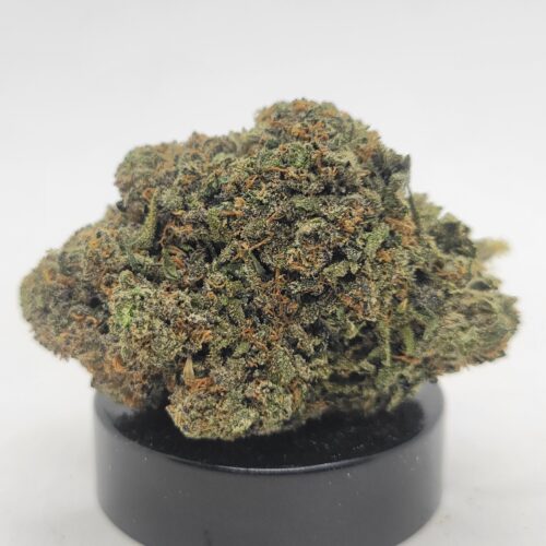 Royal Runtz Strain (HP Gardens)